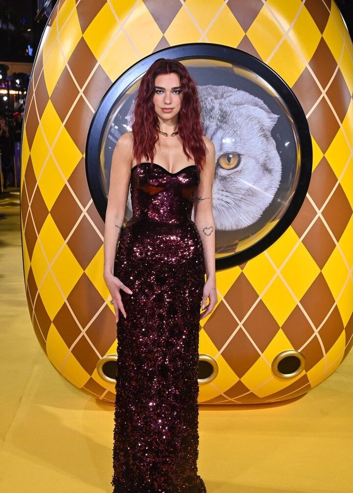 dua-lipa gallery photo #1085