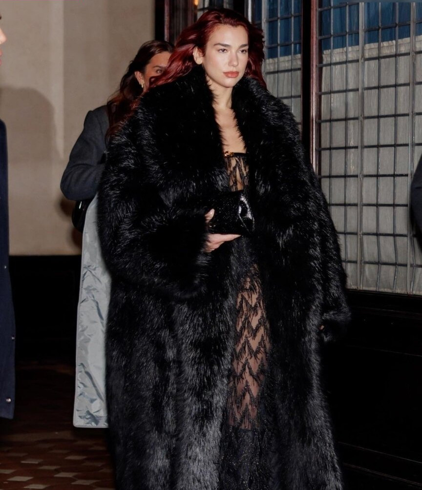 dua-lipa gallery photo #1389