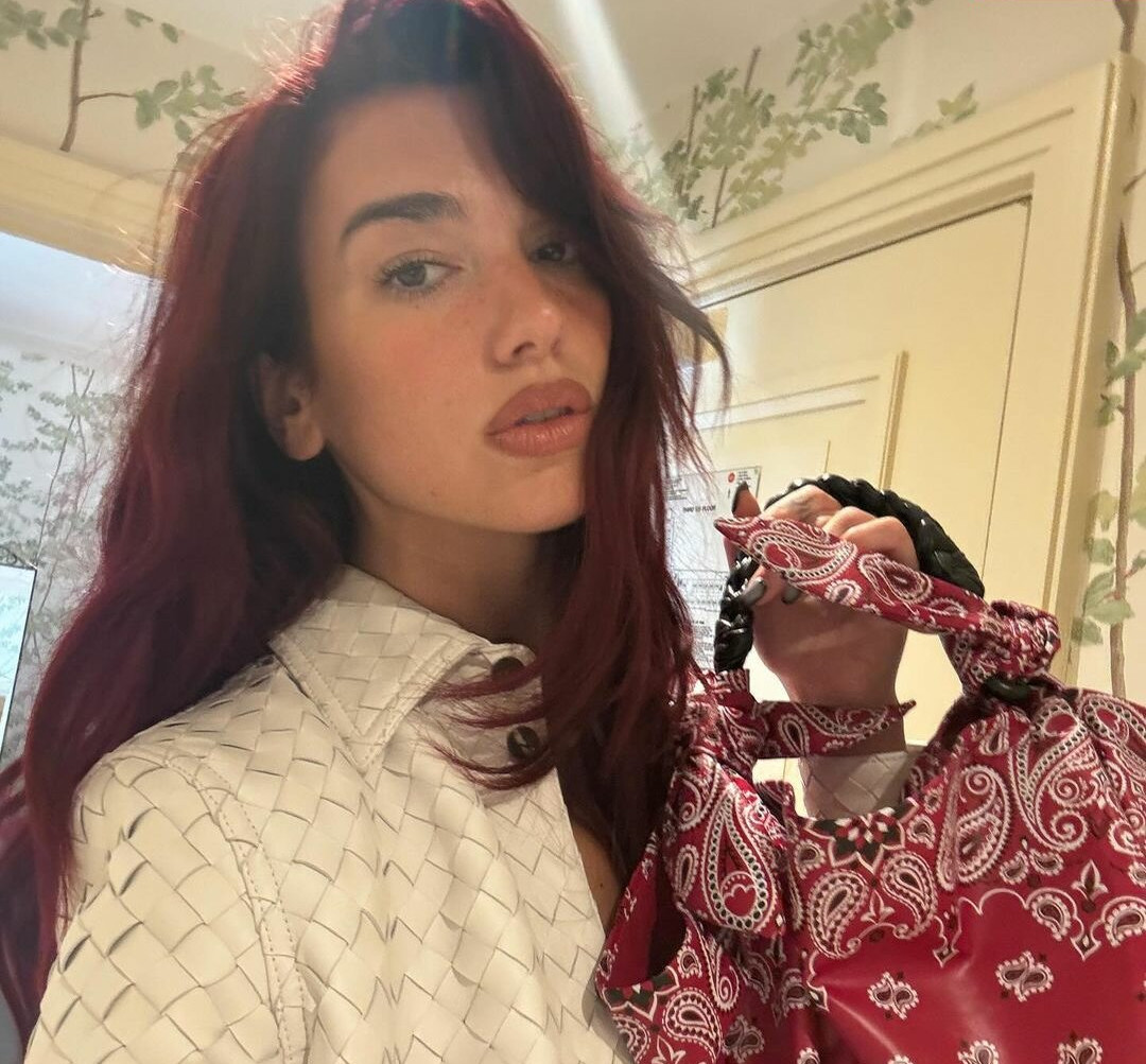 dua-lipa Nude Leaks OnlyFans Photos #553 - LeakJerk