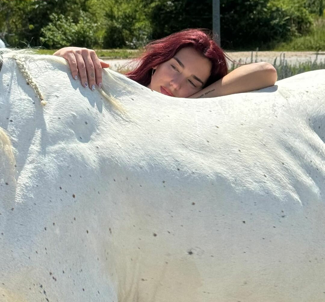 dua-lipa Nude Leaks OnlyFans Photos #555 - LeakJerk