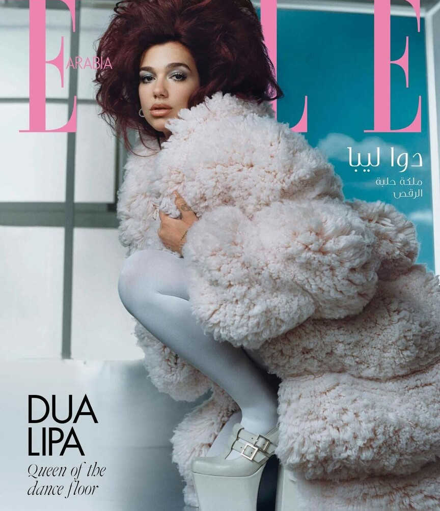 dua-lipa Nude Leaks OnlyFans Photos #568 - LeakJerk