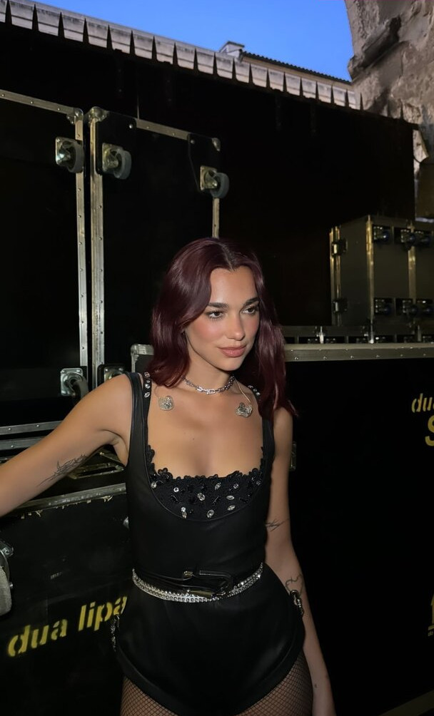 dua-lipa Nude Leaks OnlyFans Photos #656 - LeakJerk