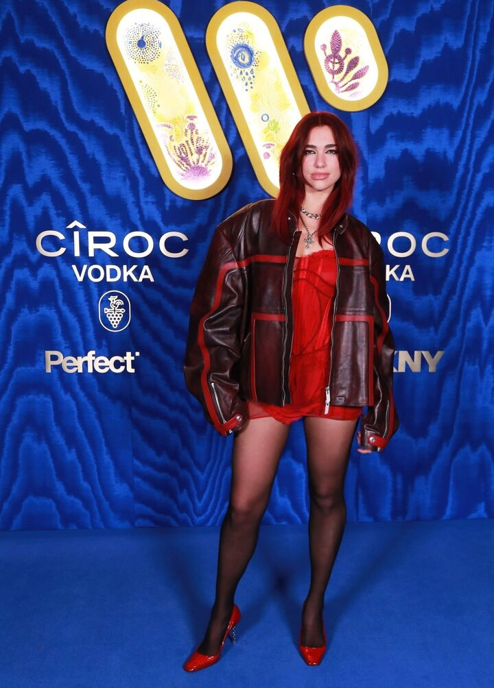 dua-lipa gallery photo #922