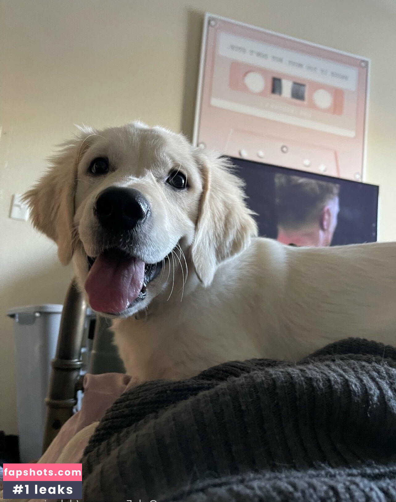 dylanjamesxo gallery photo #8