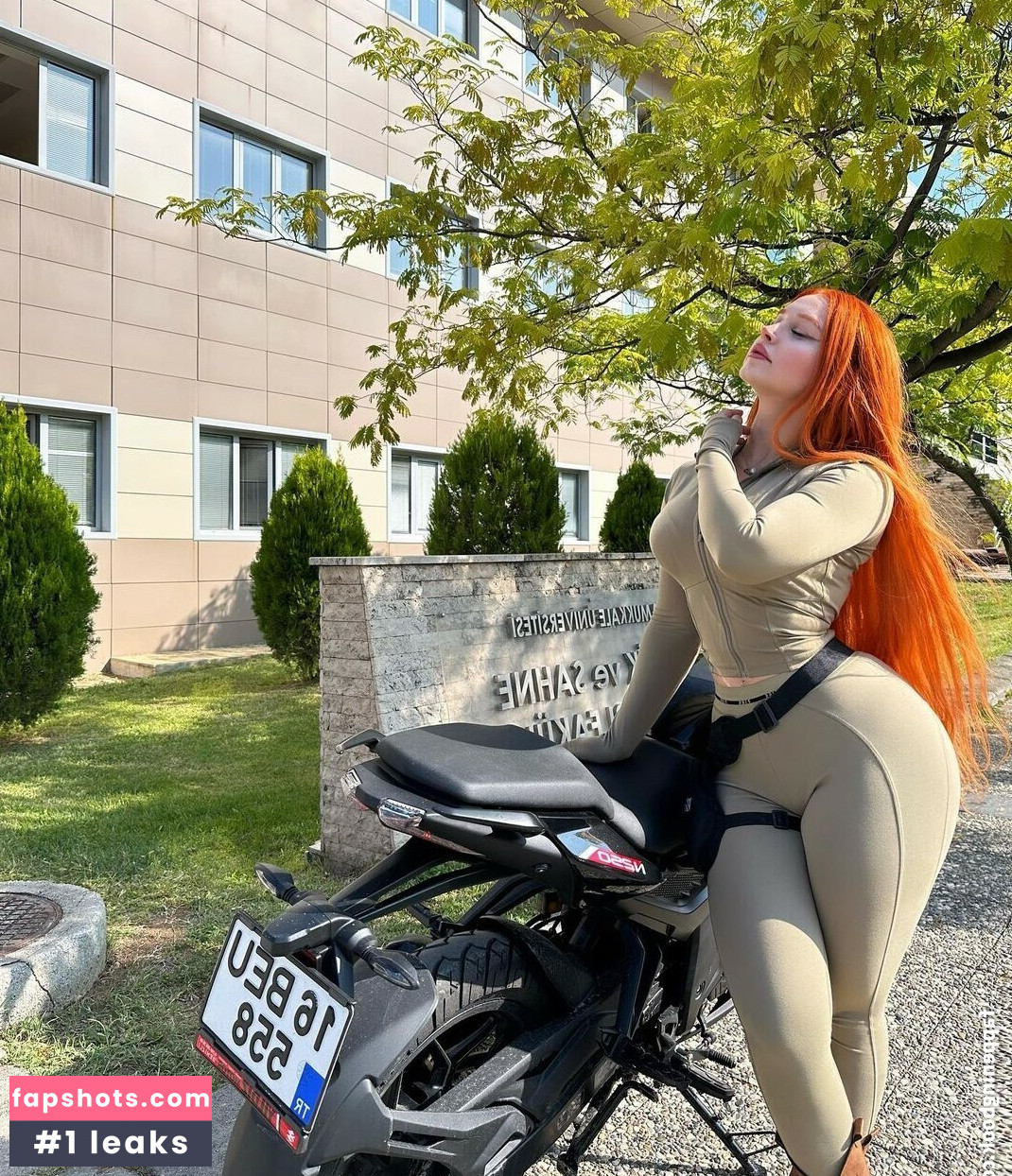 Ecbsnn gallery photo #3