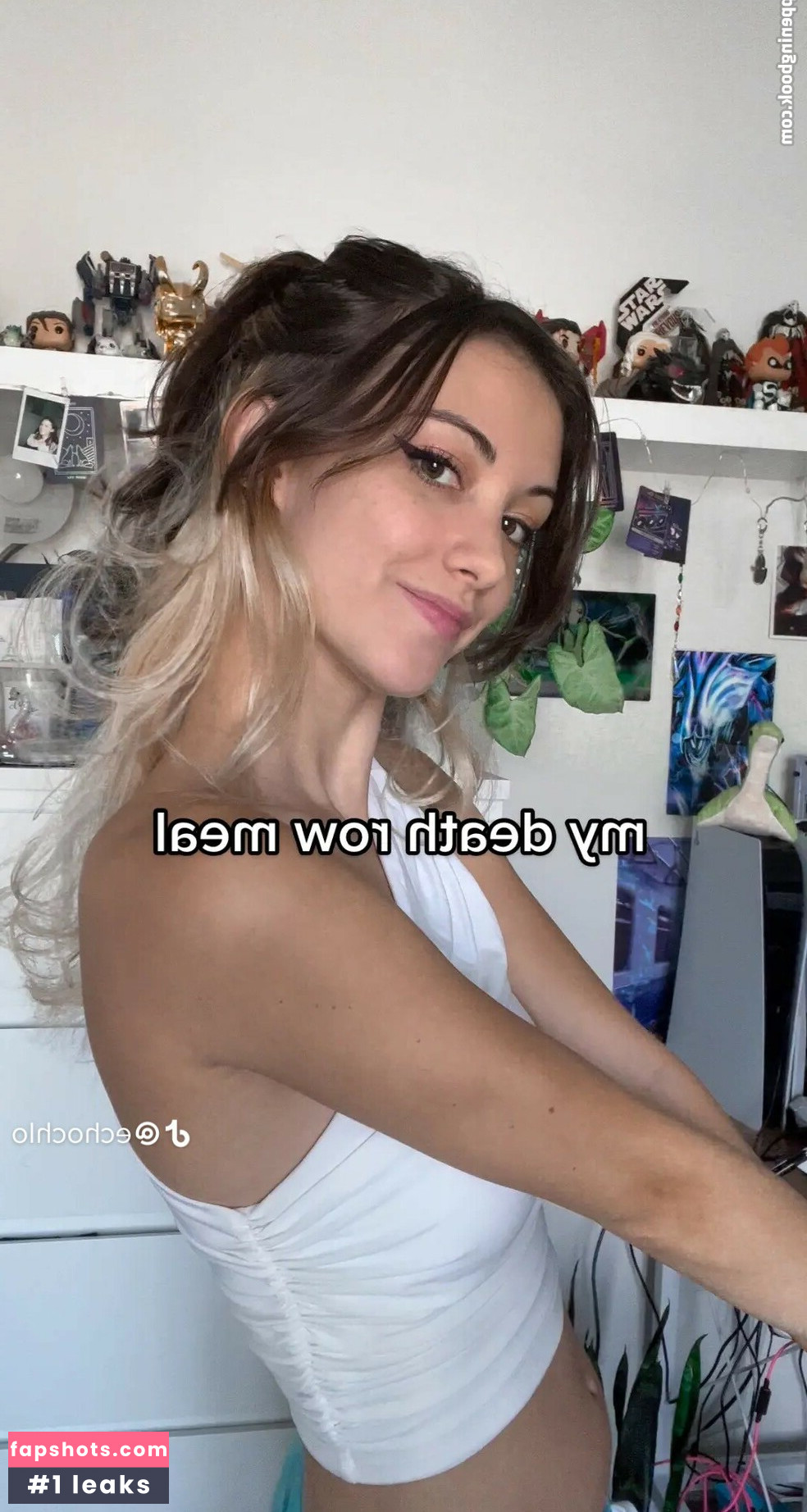 Echochlo gallery photo #42