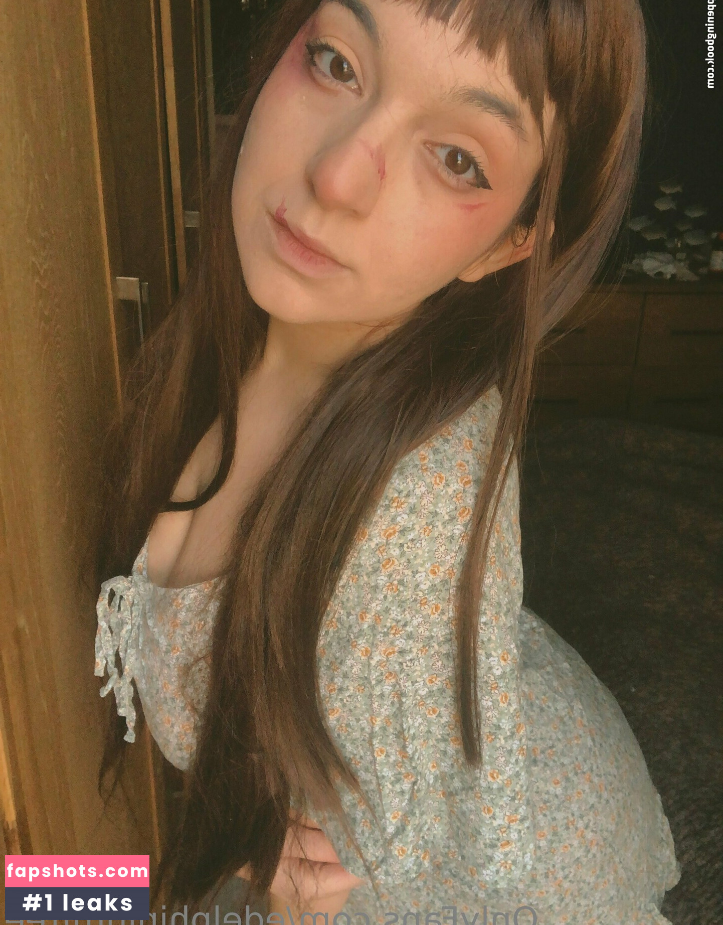 edelphiniumfree gallery photo #3