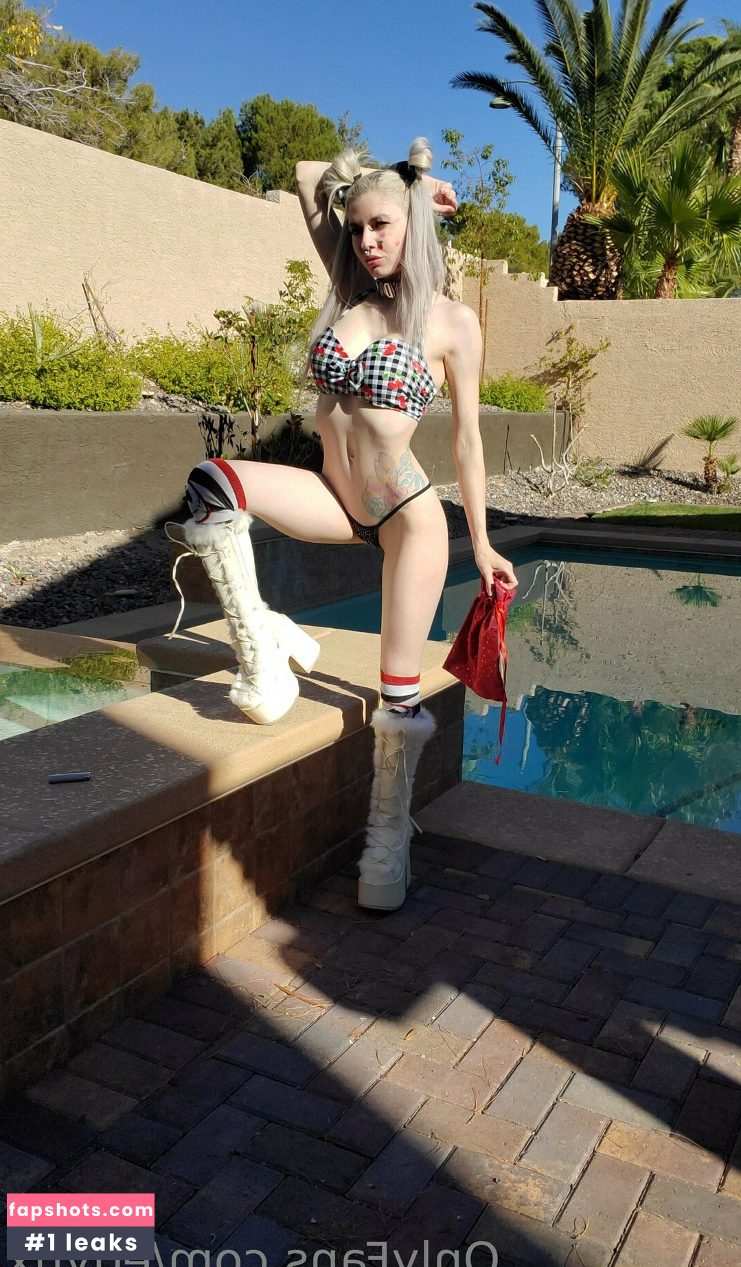 edynx gallery photo #20