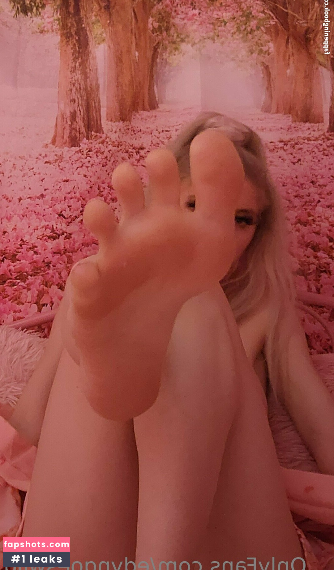 edynx gallery photo #23