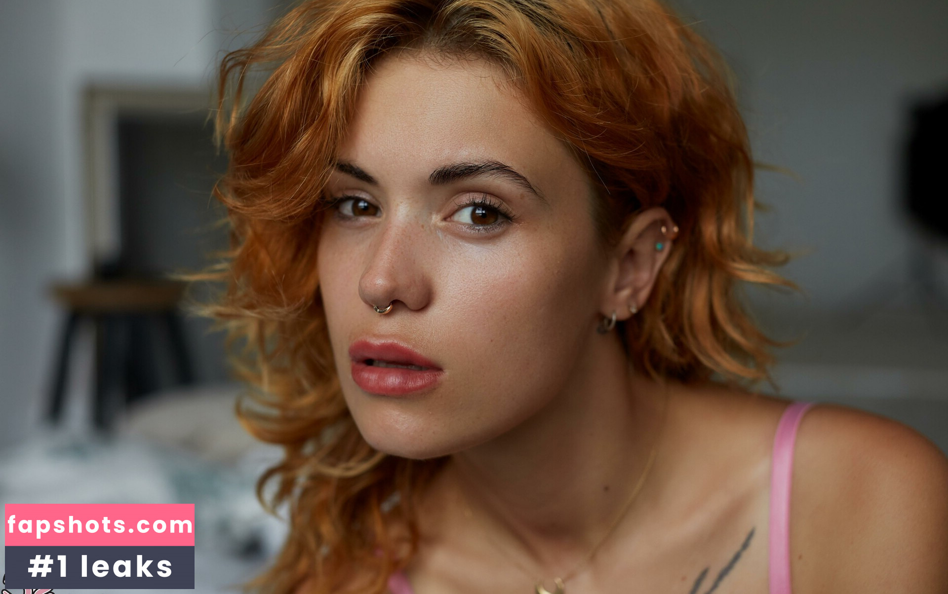 Egyptianmau gallery photo #11