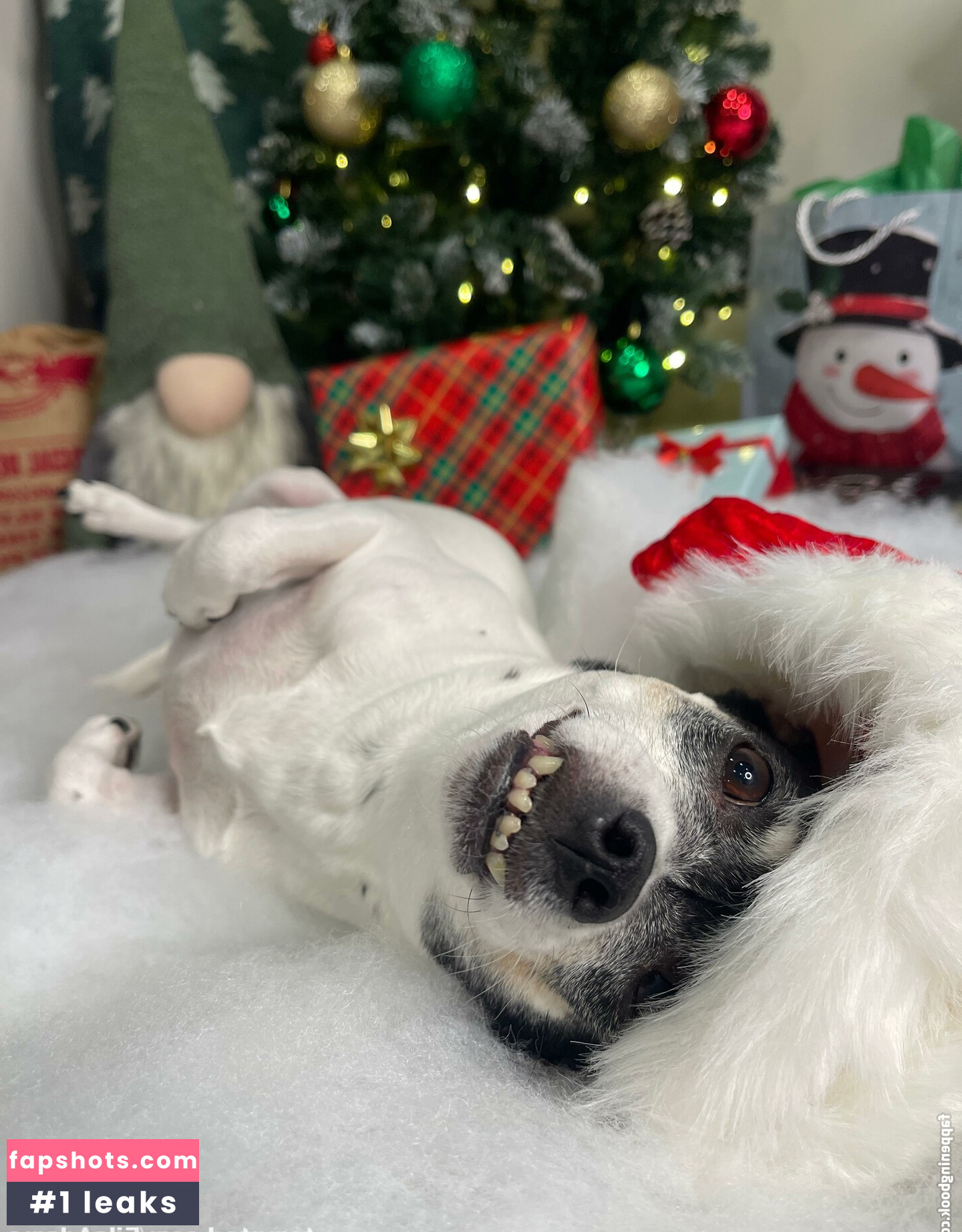 Eila Adams Nude Leaks OnlyFans Photos #331 - LeakJerk