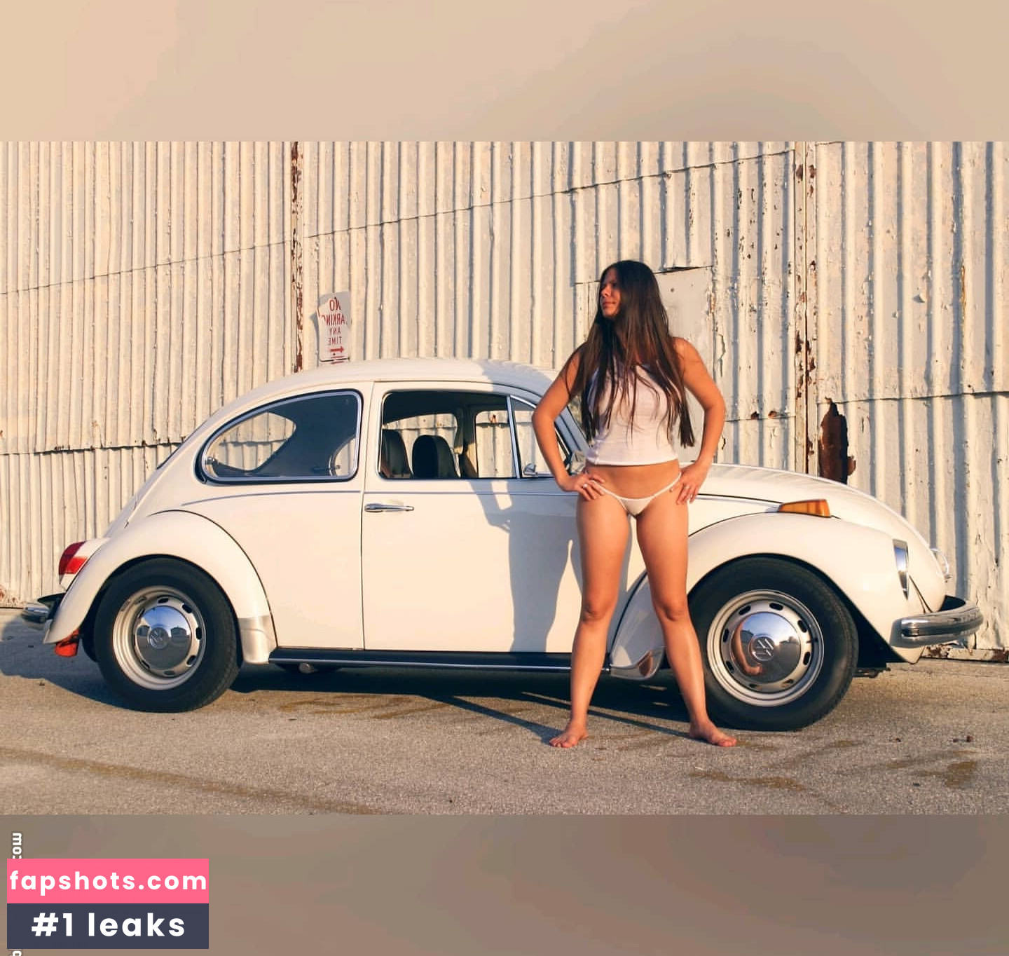 Eimeo gallery photo #19