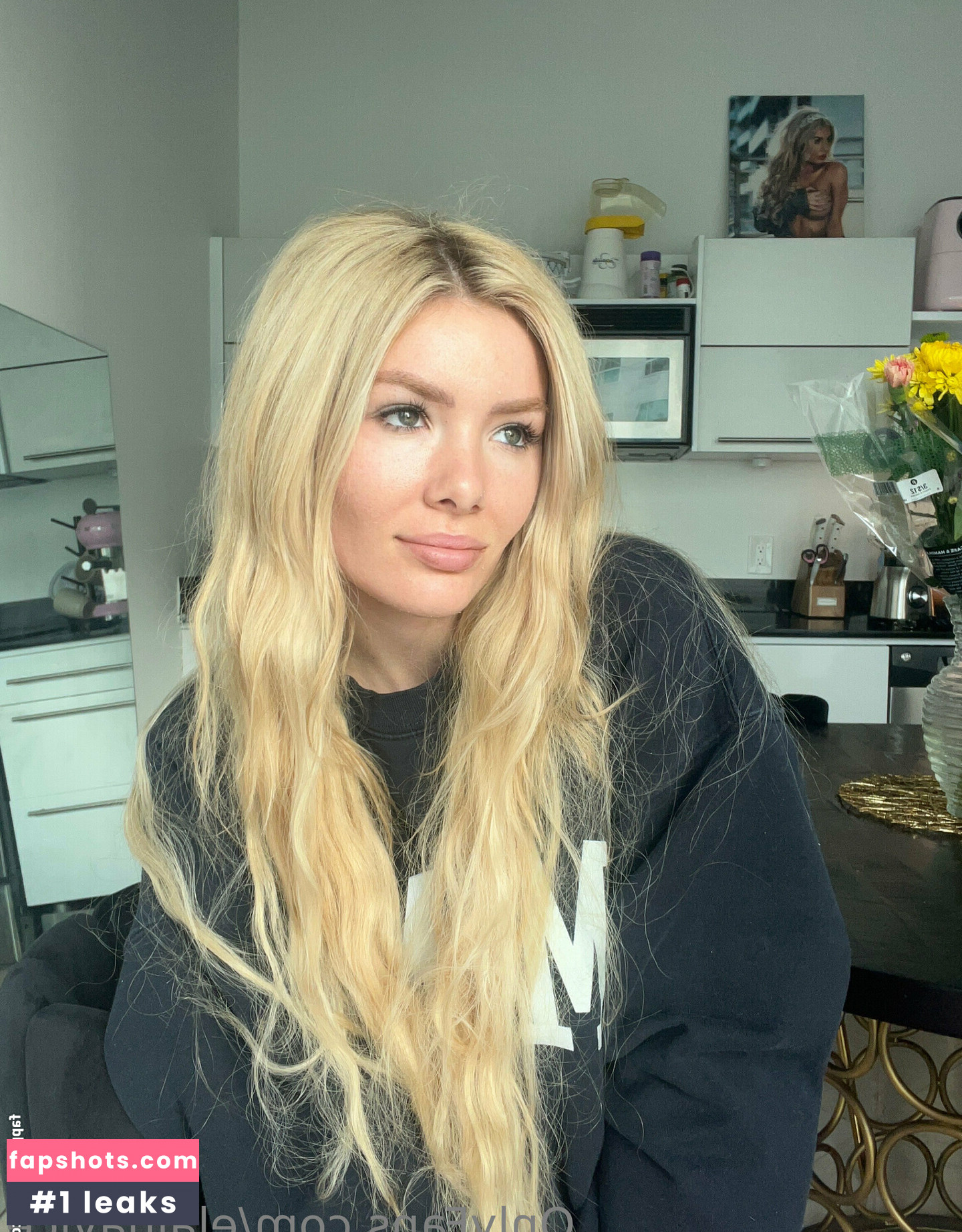 elainavice gallery photo #41