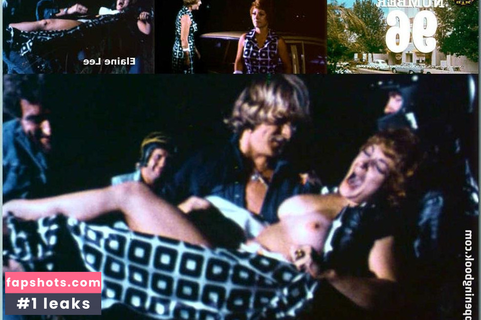 Elaine Lee Filtración Desnuda OnlyFans Foto #3 - Fapshots