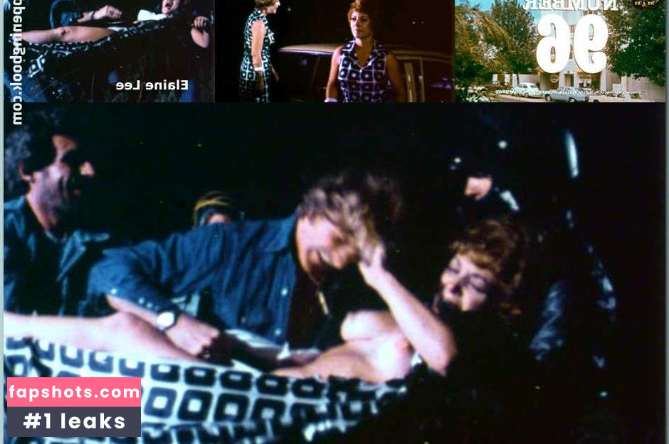 Elaine Lee Filtración Desnuda OnlyFans Foto #4 - Fapshots