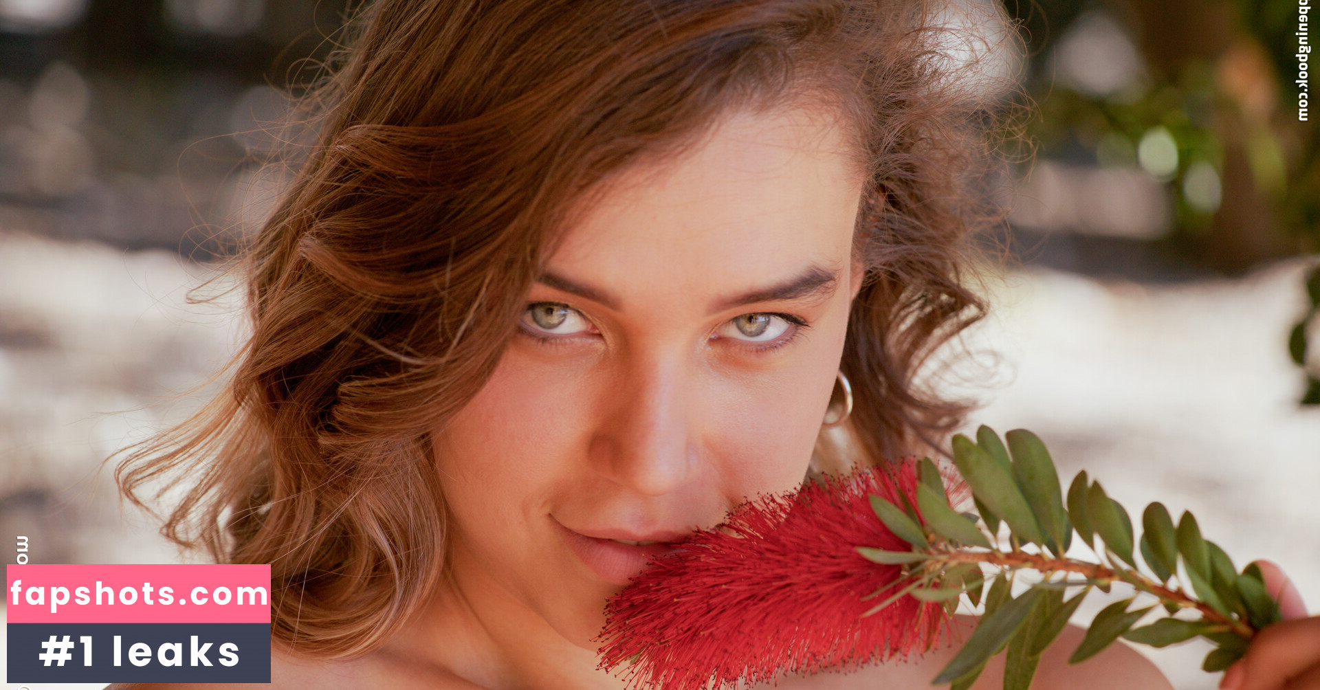 Elena Vedem gallery photo #34