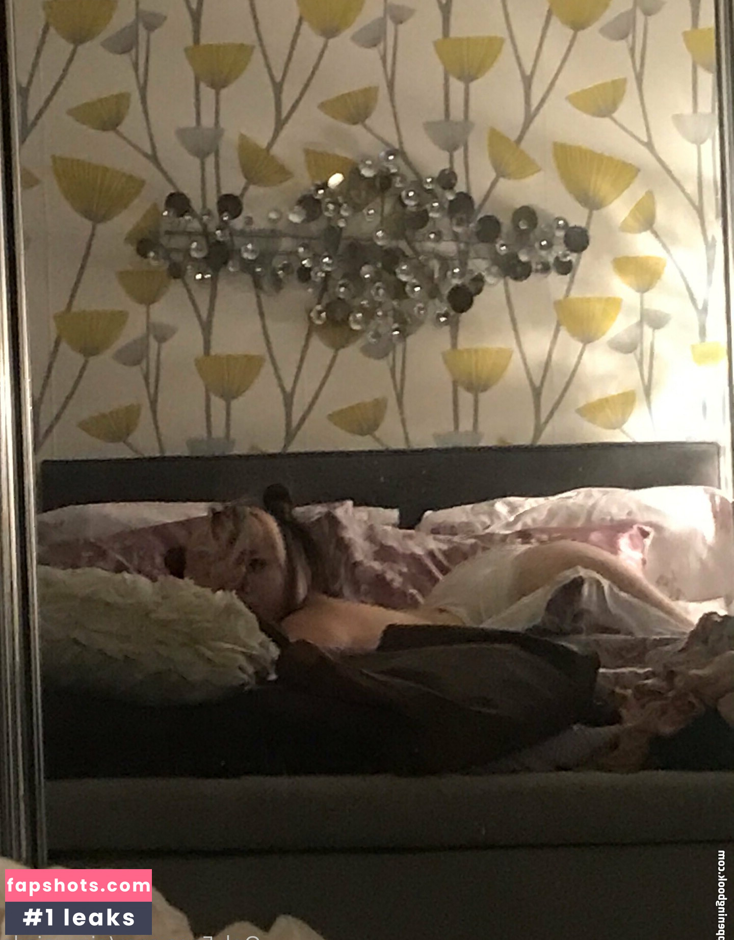 elitapizda gallery photo #5