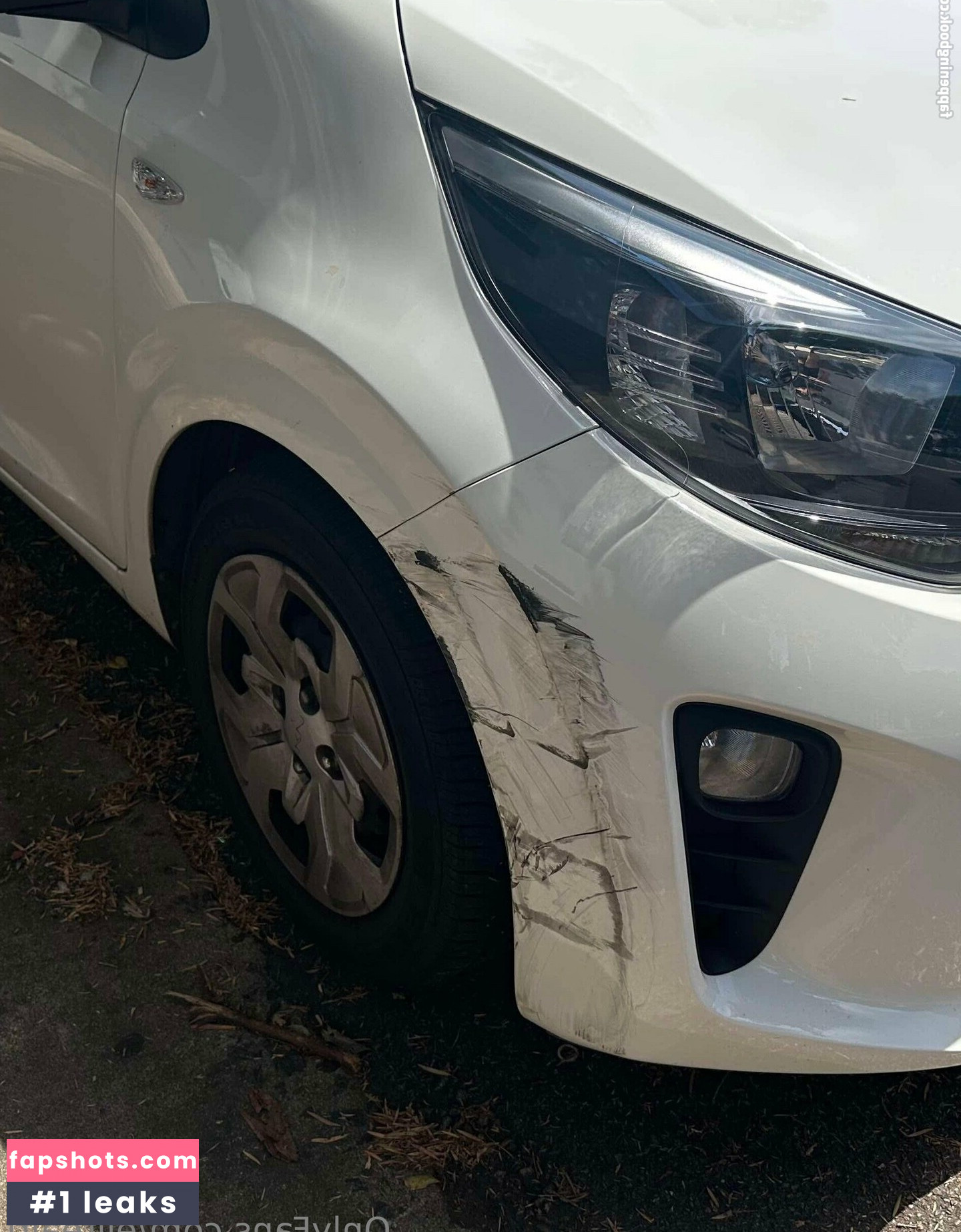 eliteairi gallery photo #20