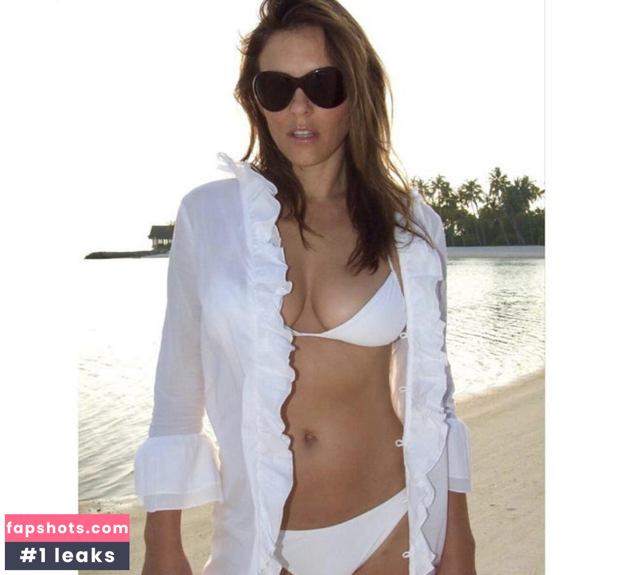 Elizabeth Hurley gallery photo #1084