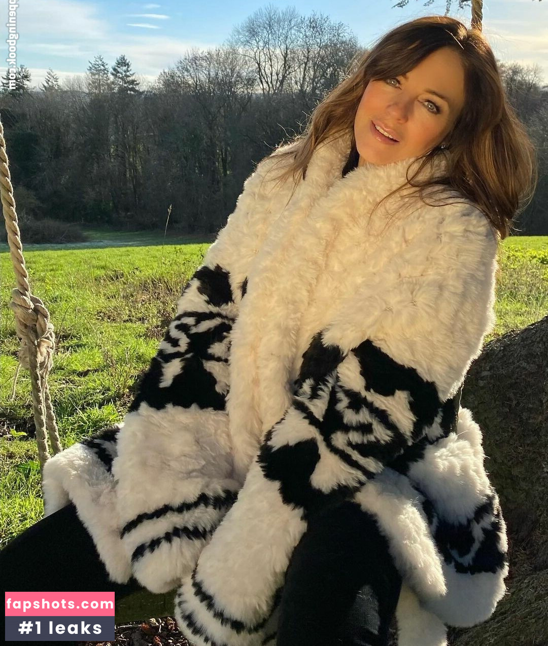 Elizabeth Hurley gallery photo #290