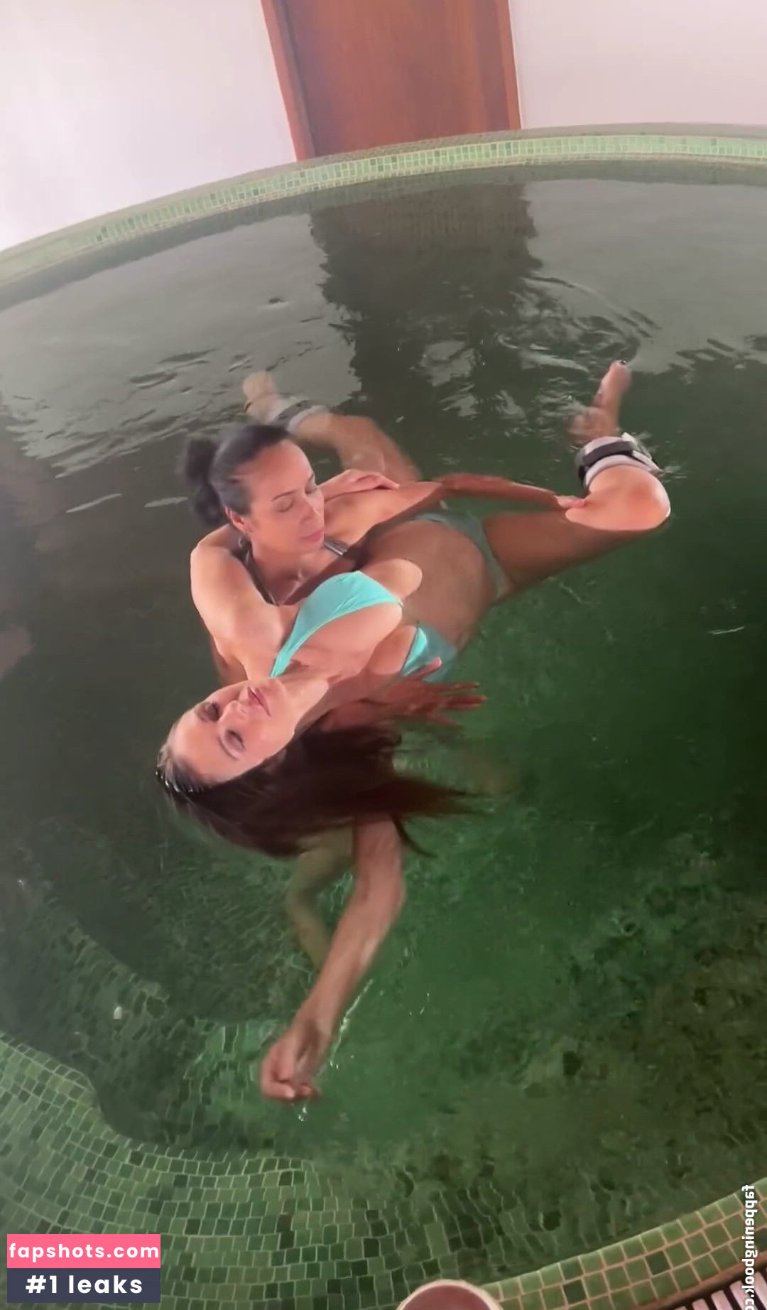 Elizabeth Hurley gallery photo #328