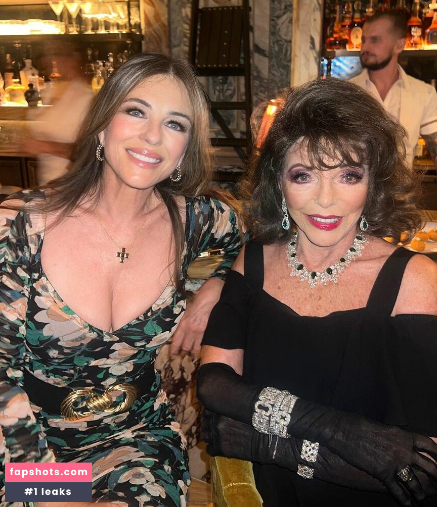 Elizabeth Hurley gallery photo #739