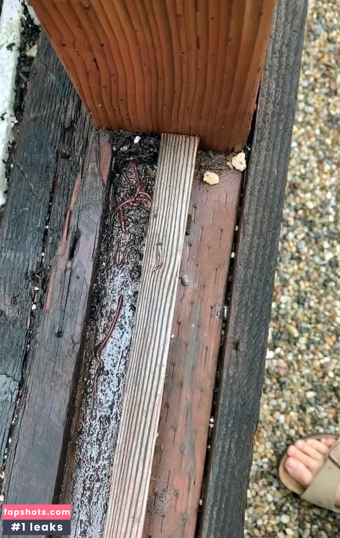 Elizabeth Olsen Nude Leaks OnlyFans Photos #1013 - LeakJerk