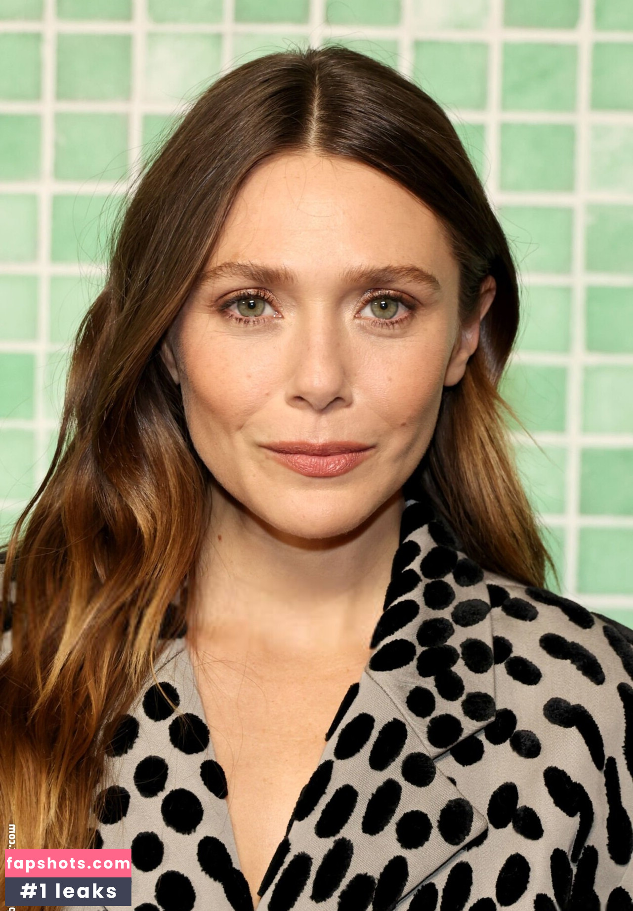 Elizabeth Olsen Nahé úniky fotek pouze od fanoušků #146 - Fapshots