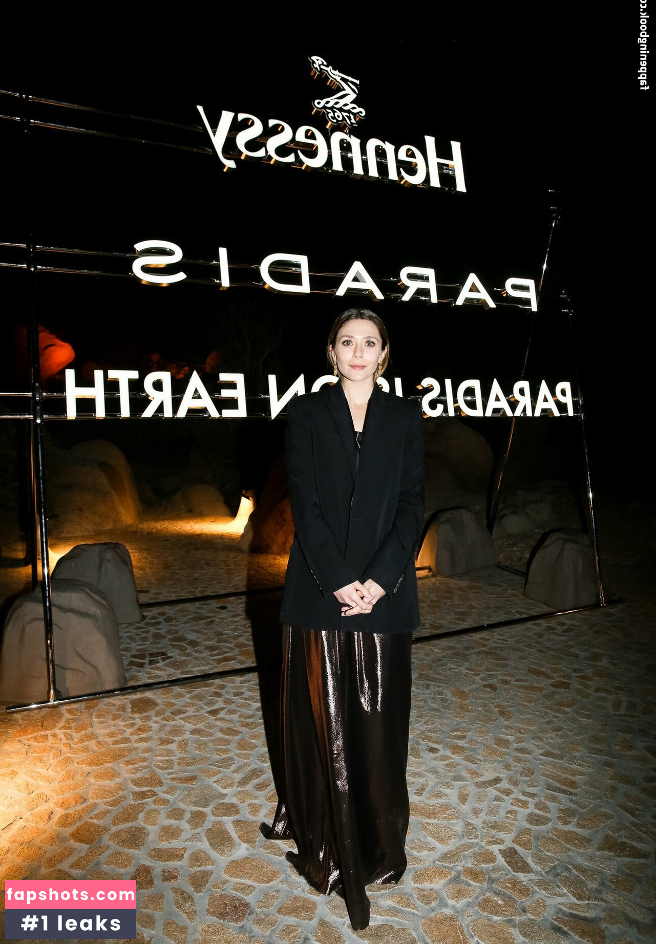 Elizabeth Olsen Nude Leaks OnlyFans Photos #702 - LeakJerk