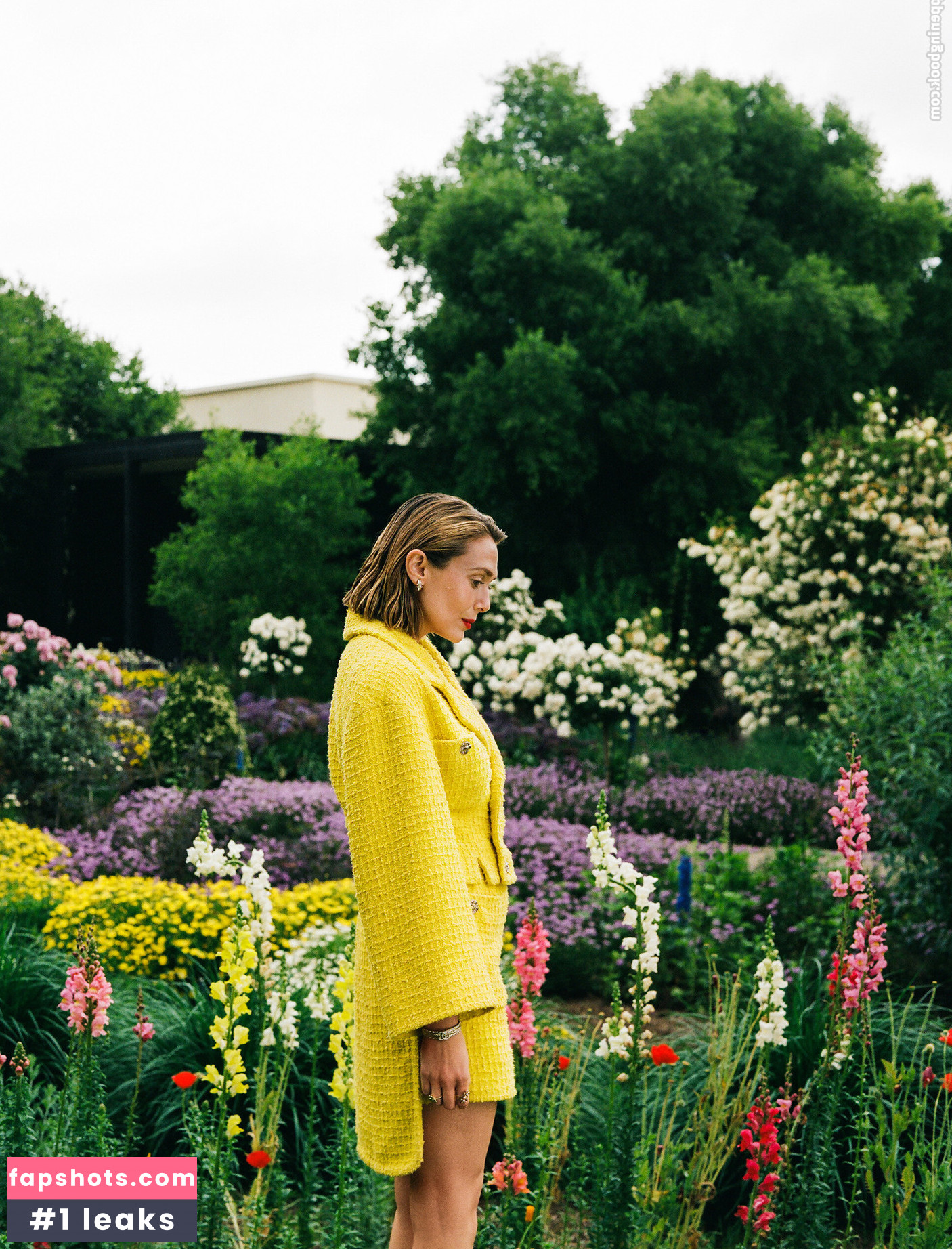 Elizabeth Olsen Nude Leaks OnlyFans Photos #947 - LeakJerk