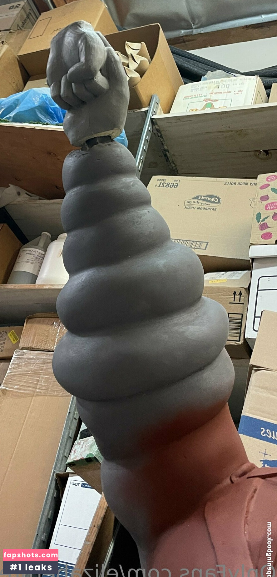 elizabethreed gallery photo #18