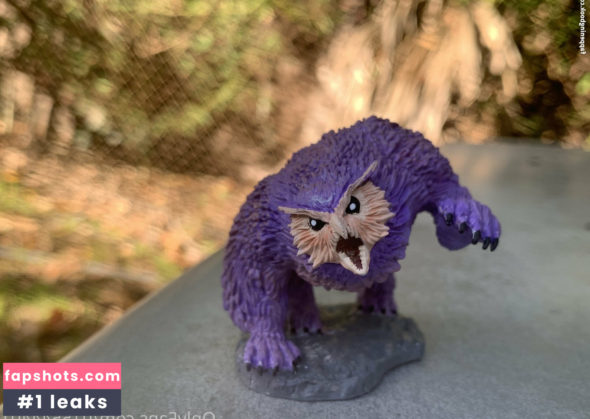 elizabethreed gallery photo #29