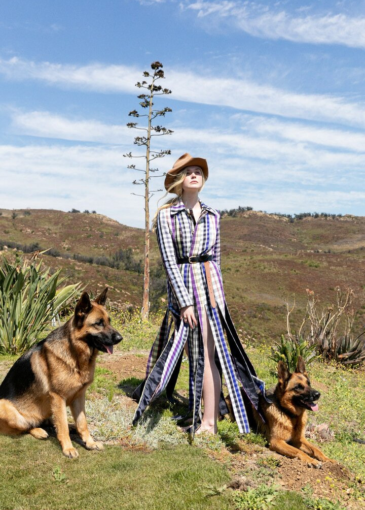 elle-fanning gallery photo #1163