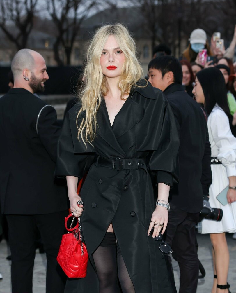 elle-fanning gallery photo #1338