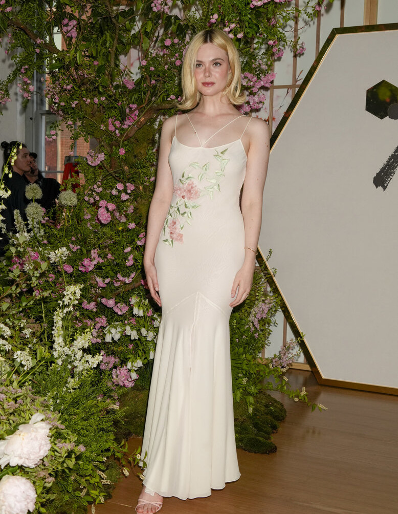 elle-fanning Nude Leaks OnlyFans Photos #211 - LeakJerk