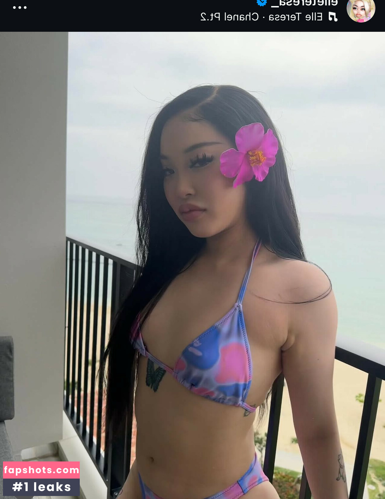 Elle Teresa gallery photo #4