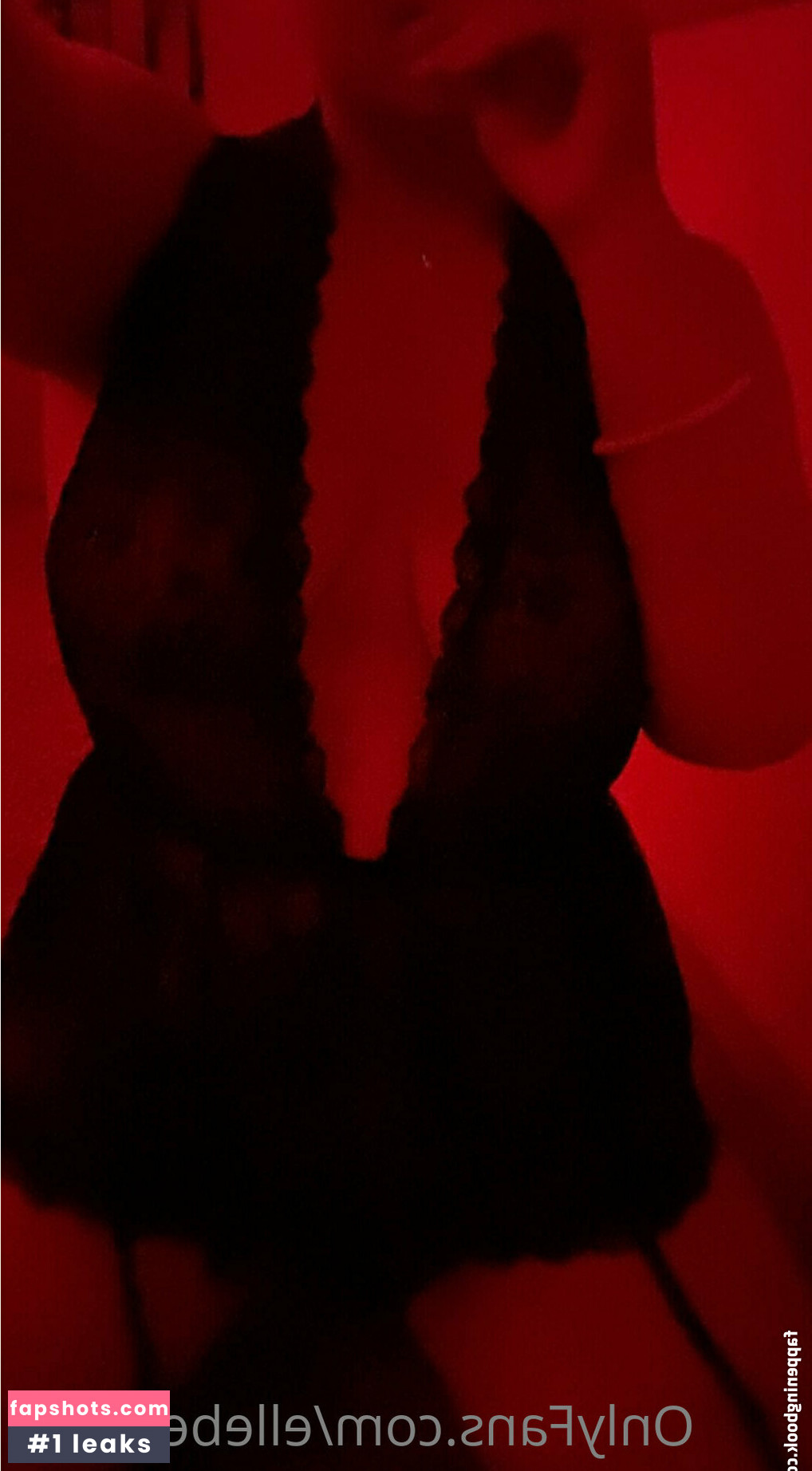 ellebelle003 Nude Leaks OnlyFans Photos #19 - LeakJerk