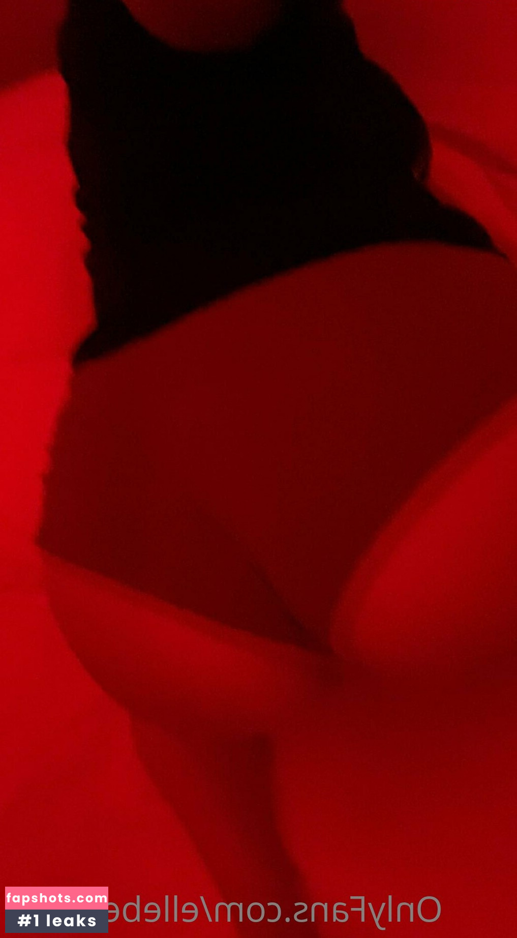 ellebelle003 Nude Leaks OnlyFans Photos #29 - LeakJerk