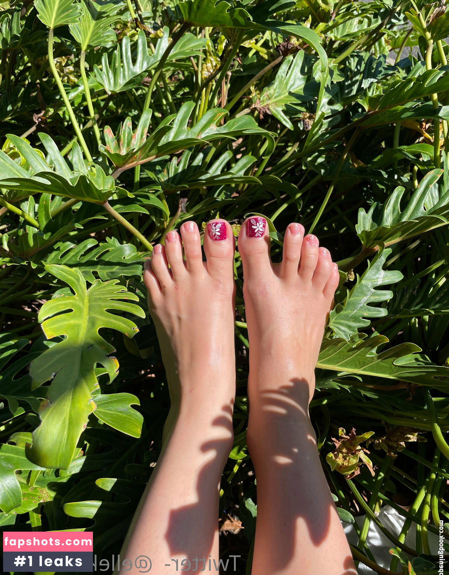 elleknox gallery photo #48