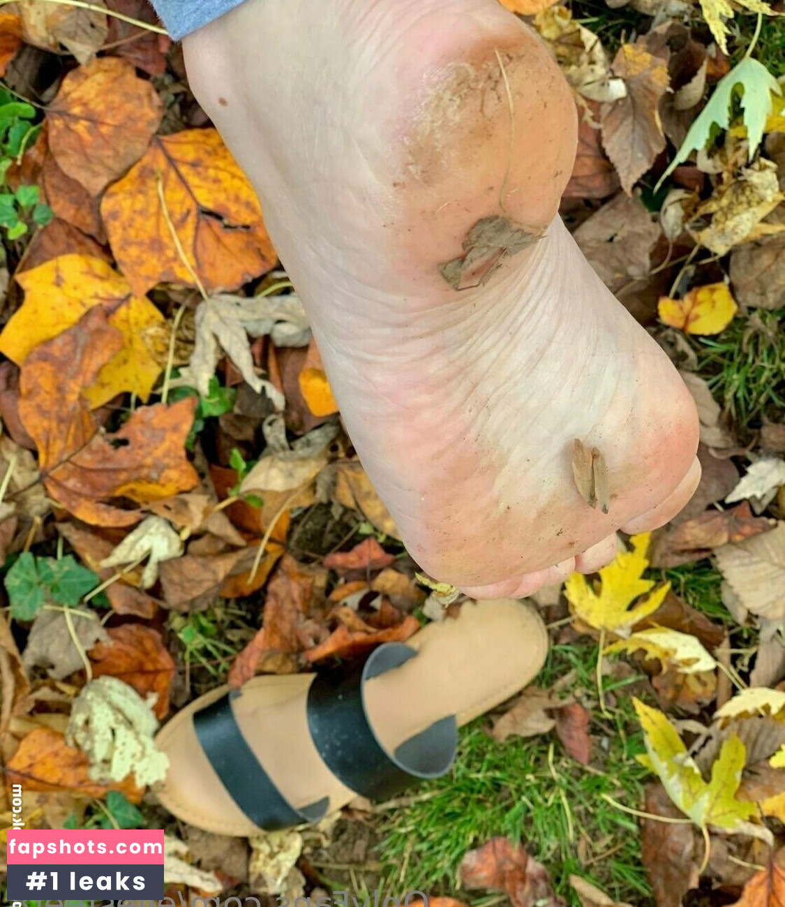 ellesfeet8 Nacktheit OnlyFans Fotos #11 - Fapshots