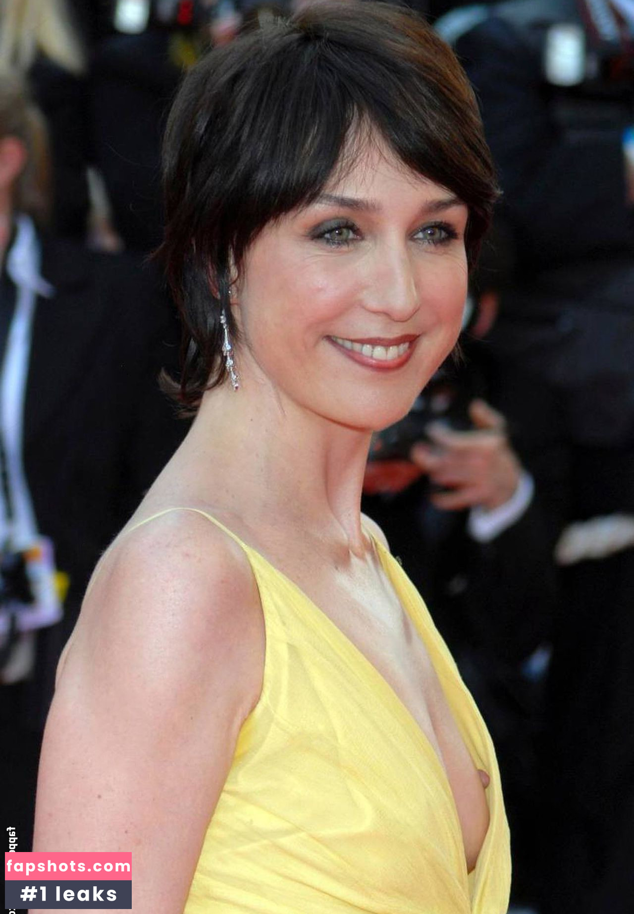 Elsa Zylberstein Filtración Desnuda OnlyFans Foto #12 - Fapshots