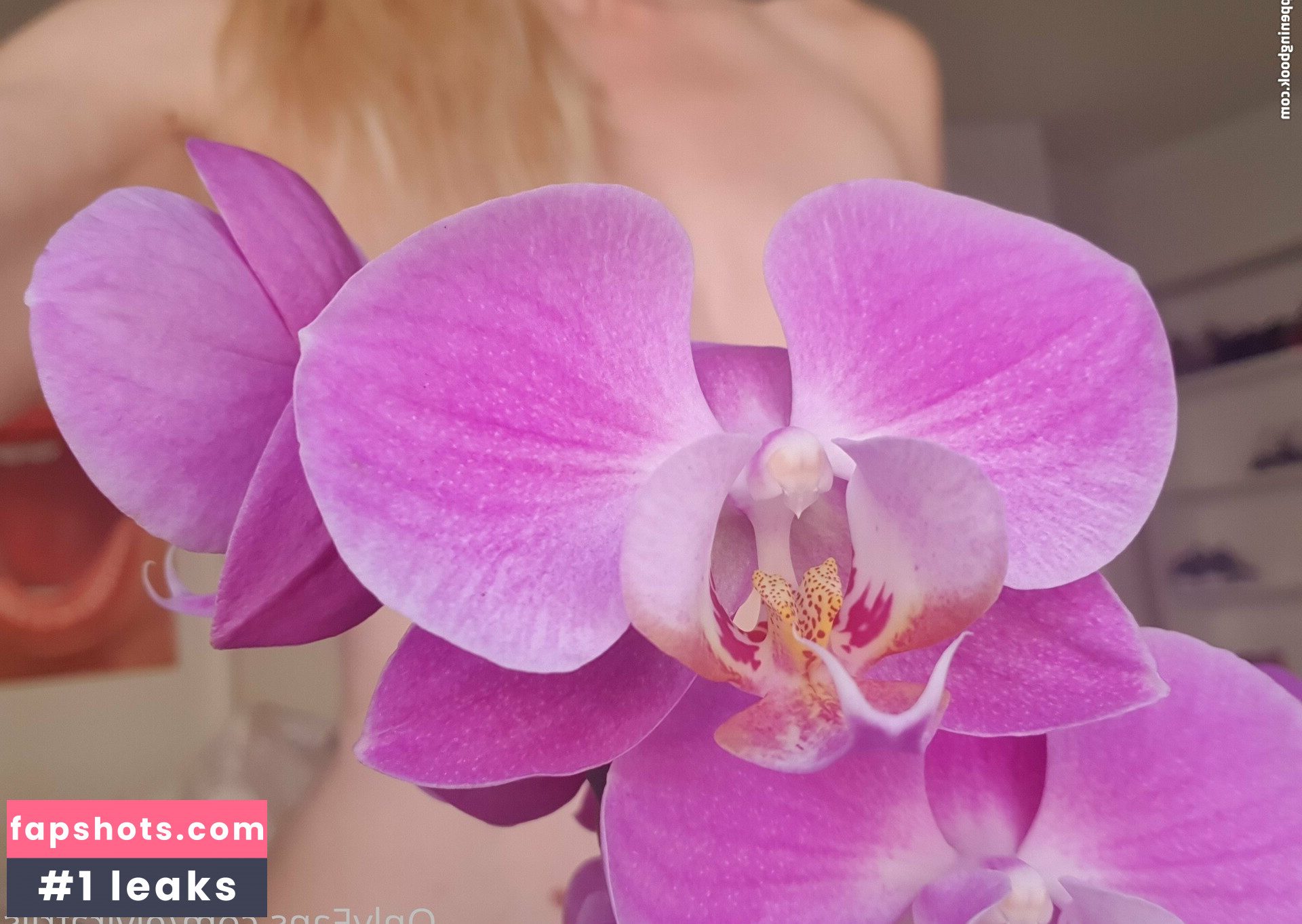 elvirafriis Nahé úniky fotek pouze od fanoušků #10 - Fapshots