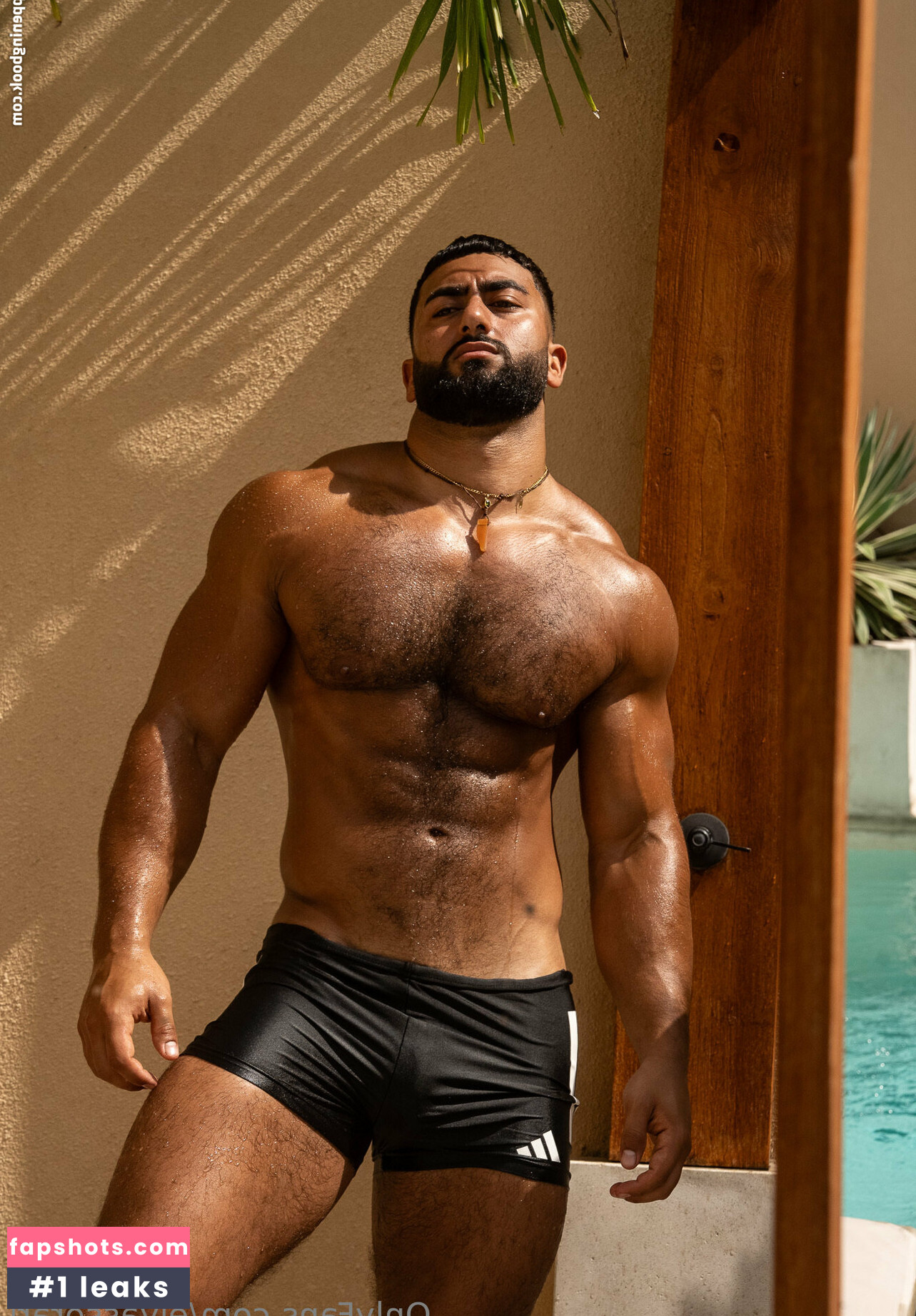 elyassorari gallery photo #13