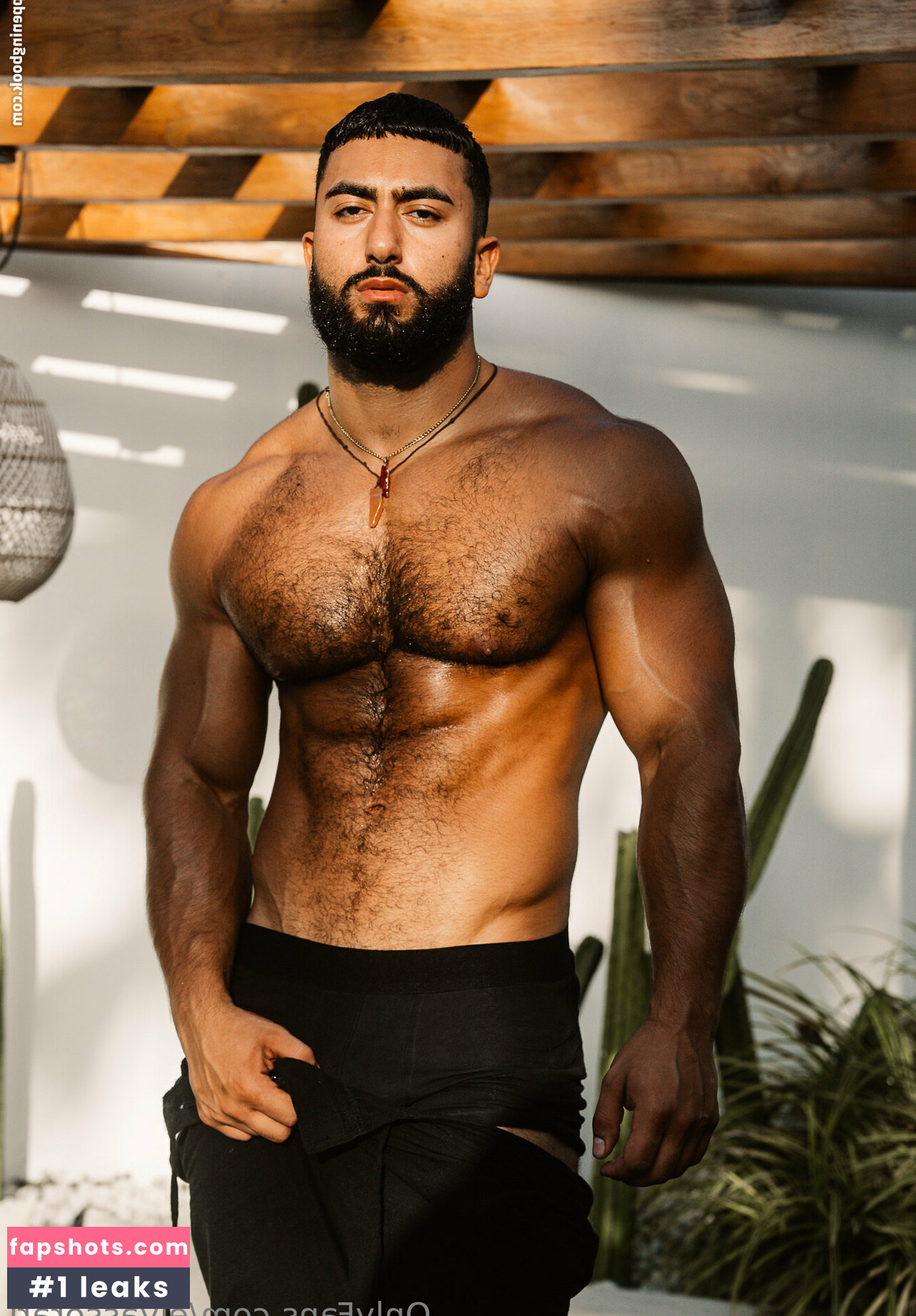 elyassorari gallery photo #15