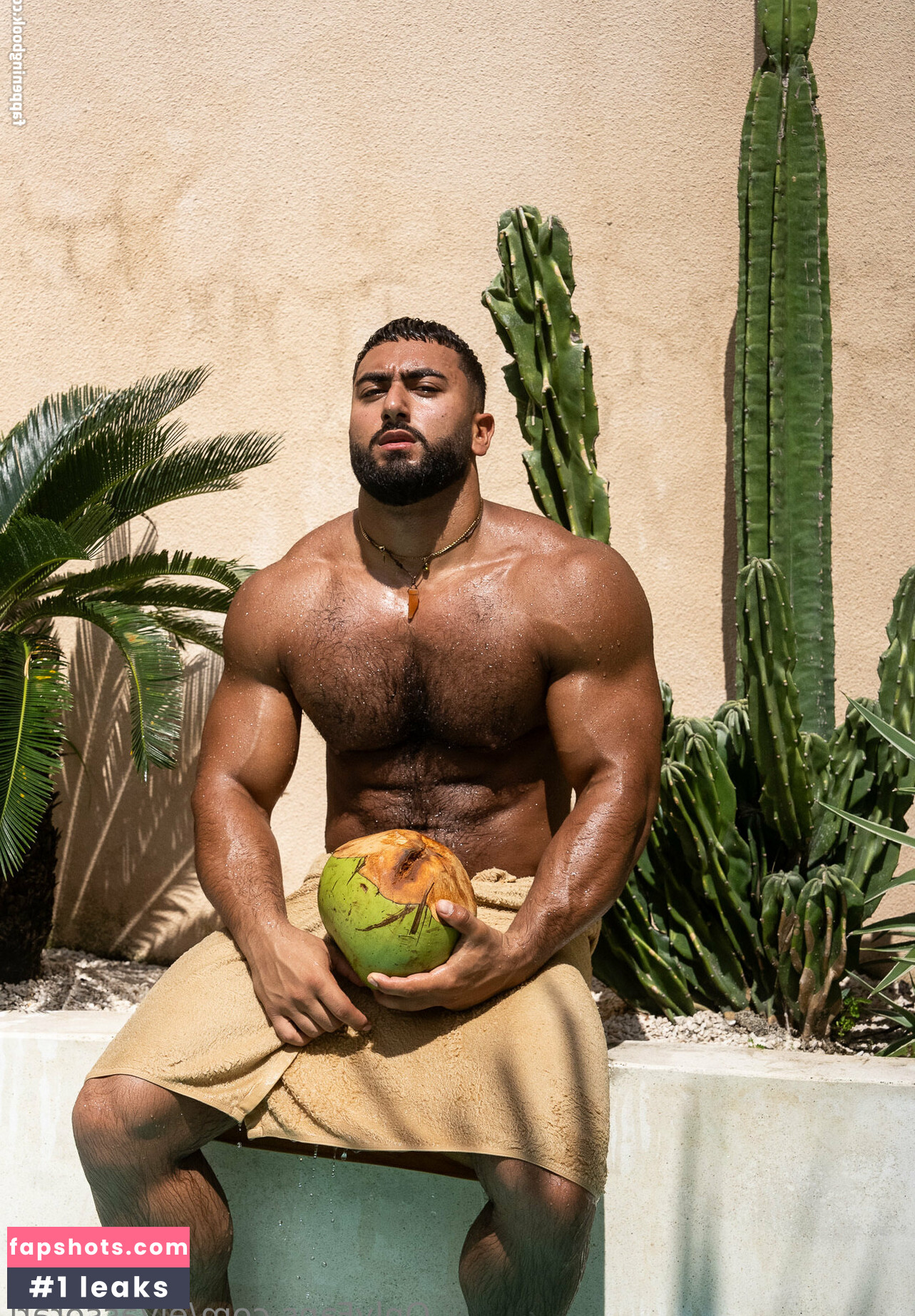 elyassorari gallery photo #18