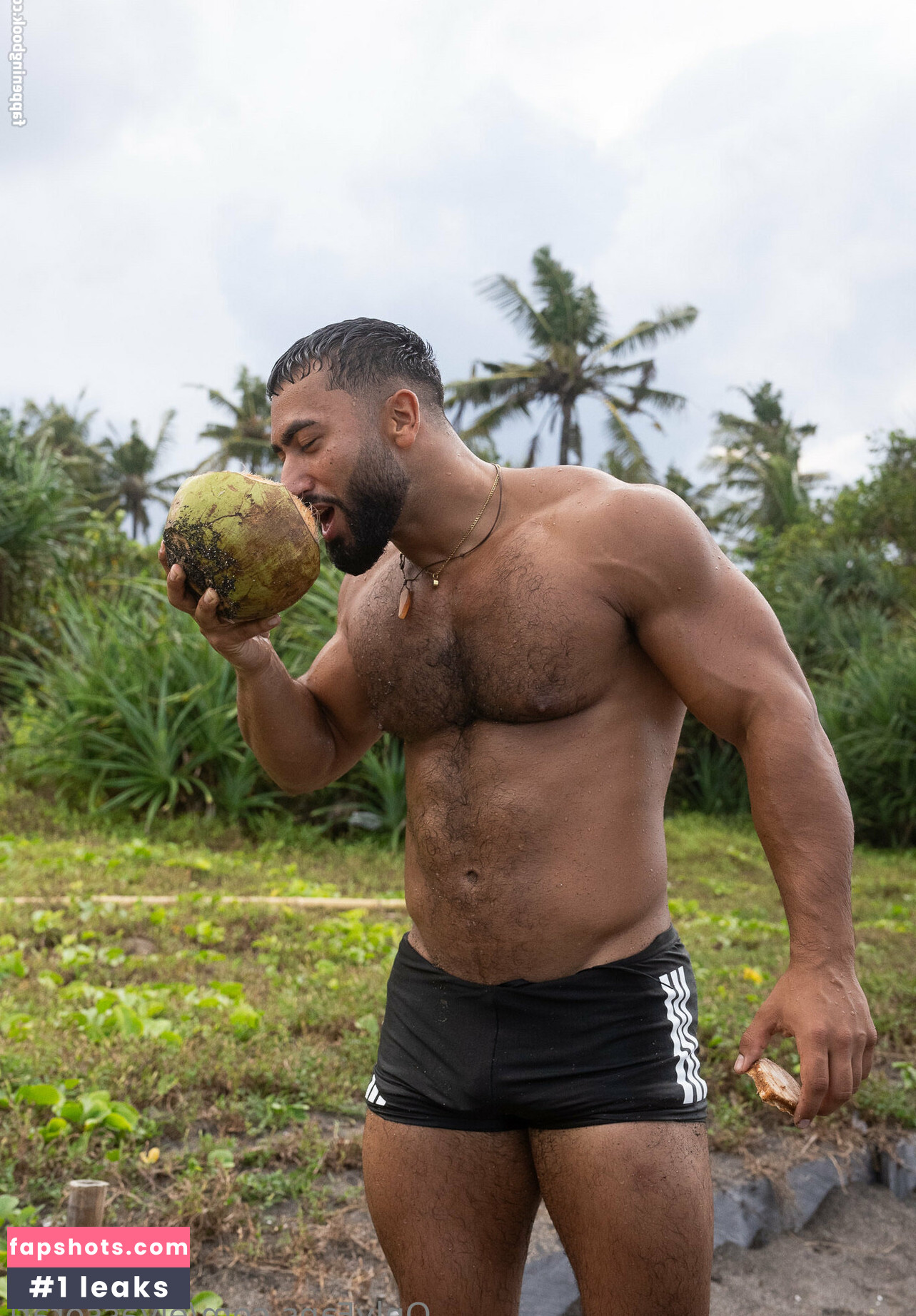 elyassorari gallery photo #23