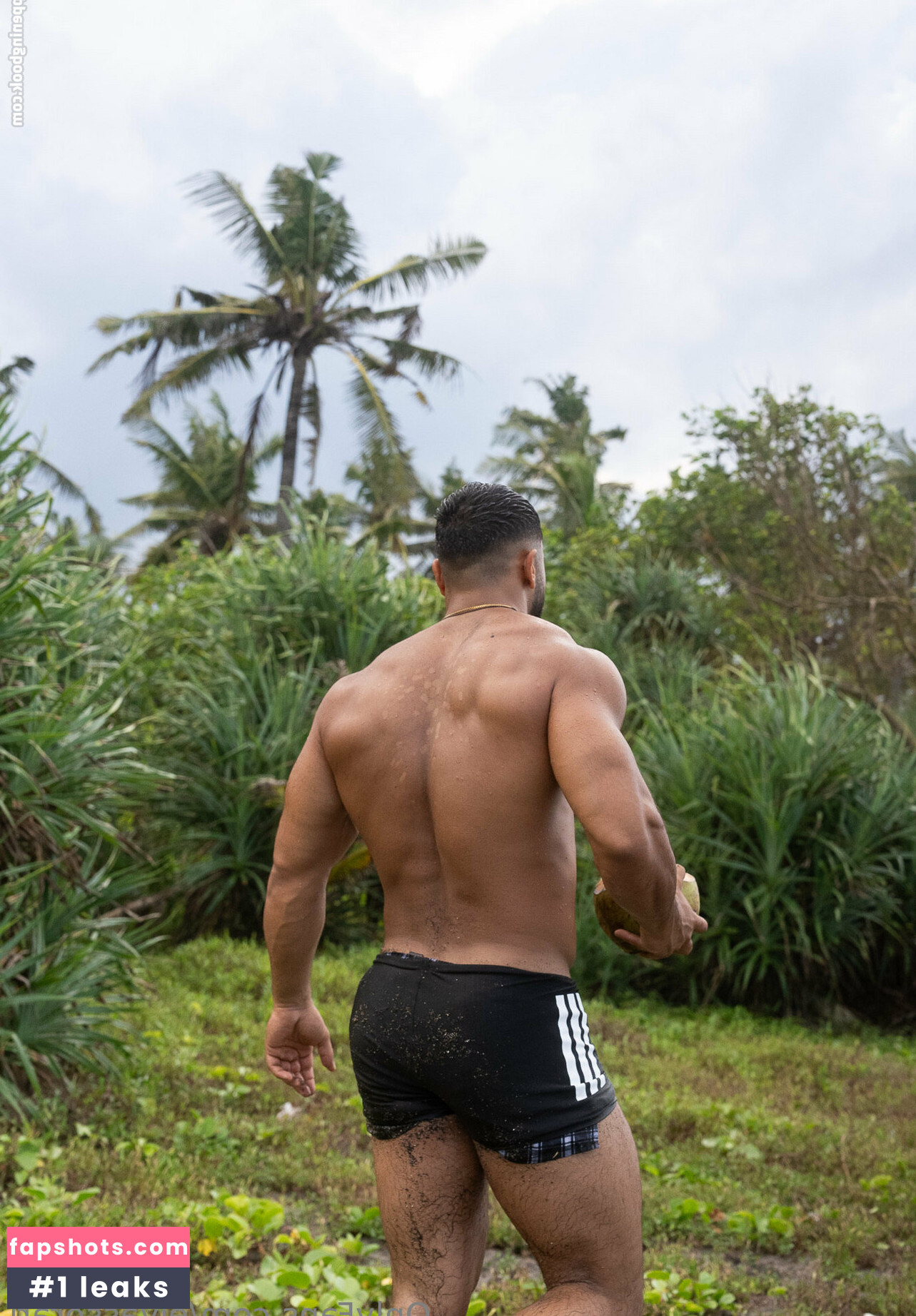 elyassorari gallery photo #24