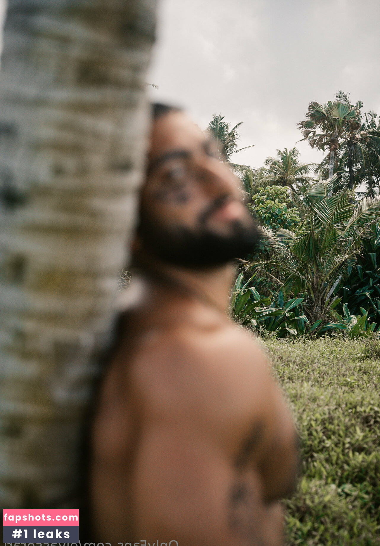 elyassorari gallery photo #39