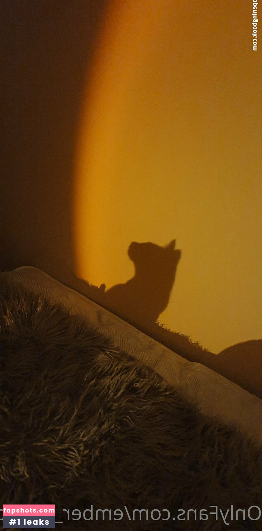 ember_bodacious gallery photo #10