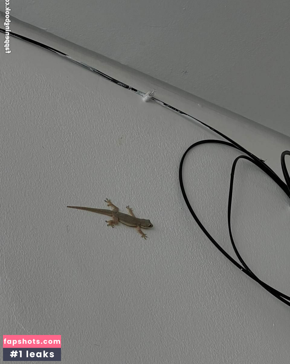 Emily_lu gallery photo #85